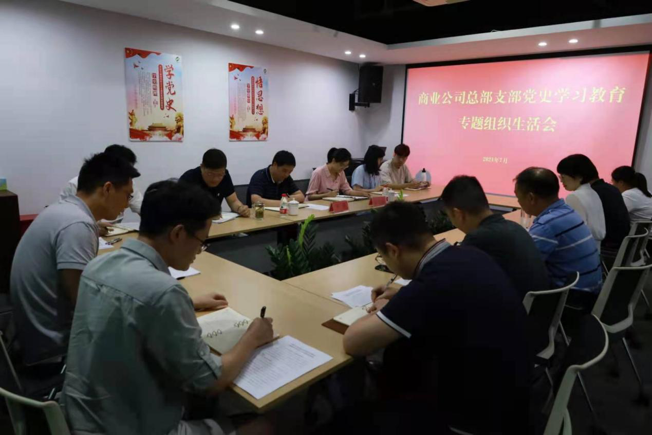 商業(yè)公司召開黨史學(xué)習(xí)教育黨支部專題組織生活會(huì)